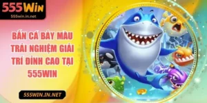 ban-ca-bay-mau-anh-dai-dien