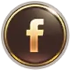 btn-fb-555win