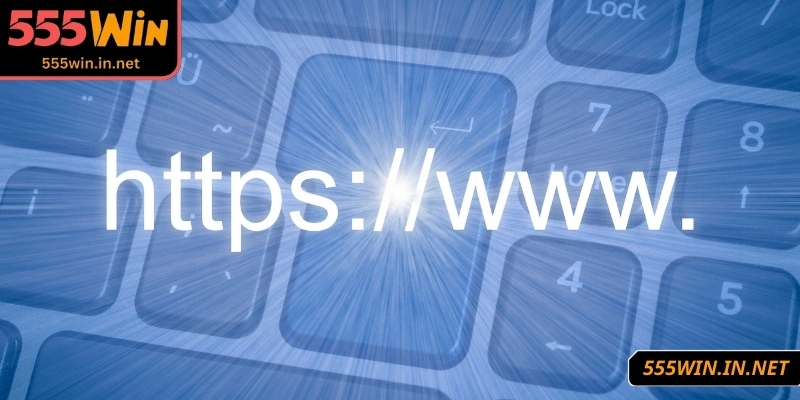 link-vao-555win-luon-luu-y-kiem-tra-url-chinh-xac